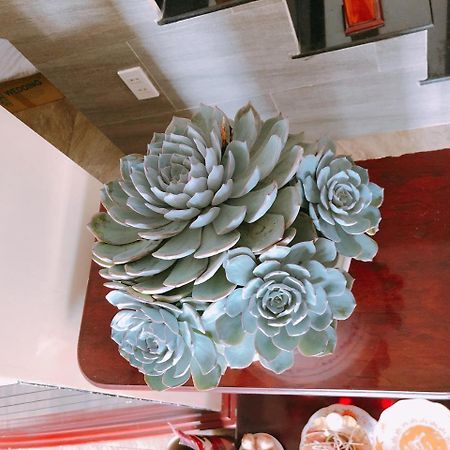 Mai Anh Dao Hotel ダラット エクステリア 写真