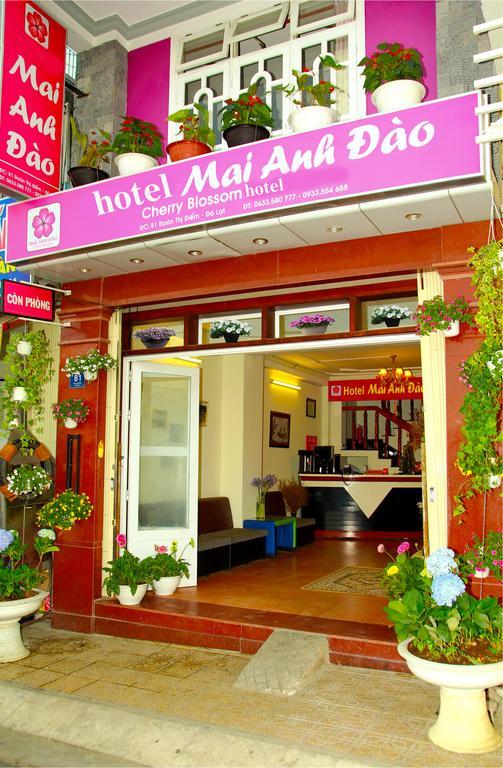 Mai Anh Dao Hotel ダラット エクステリア 写真